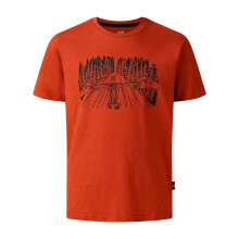 (3-4 Years, Arabian Spice) Dare 2B Childrens/Kids Trailblazer III Nature Print T-Shirt