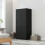 Double Panel Door Wardrobe, with Shelves - Black 4