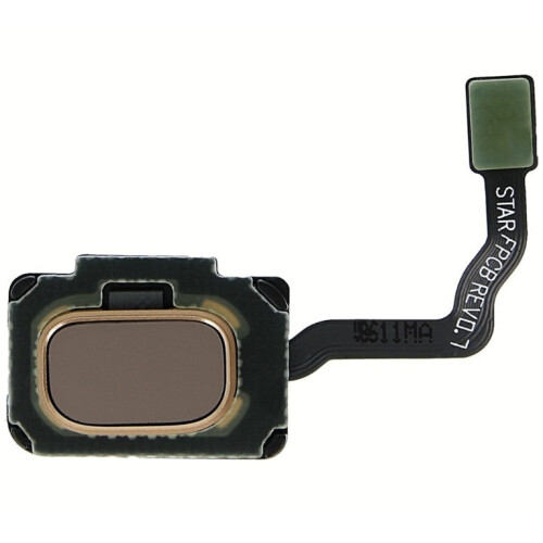 Samsung Galaxy S9 & S9 Plus Fingeraftrykssensor - Original - Guld