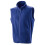 Result (M, Royal) Result Core Mens Micro Fleece Gilet 1