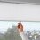 IKEA TRETUR Blackout Roller Blind 120x195 3