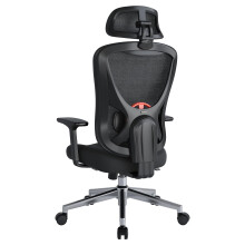 Eucladoceros M75 Ergonomic Office Chair with 125Â Tilt Lock, Black