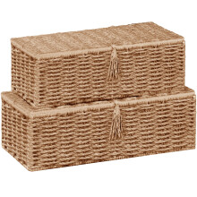 Vagusicc Storage Boxes with Lid, Handwoven Set of 2 Wicker Storage Baskets for Organizing, Nesting Storage Basket for Shelves