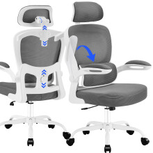 Coscendo Ergonomic Office Chair with Headrest & Lumbar Support, Grey