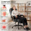 Homcom HOMCOM Home Office Chair Reclining Function High Back, Black 4