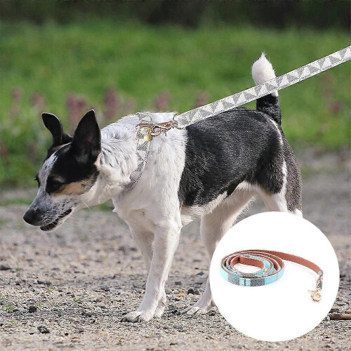 Soft Reflective Leash For Dogs, Heavy Duty Training With Premium Quality Nylon Adjustable Design, Unique Design For Style And Function, 2