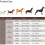 Soft Reflective Leash For Dogs, Heavy Duty Training With Premium Quality Nylon Adjustable Design, Unique Design For Style And Function, 4