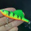 Luya Softbait, bleiumwickelter Angelköder, 6,5 cm/16,5 g, simulierter Barschköder für den Winter, Kunstköder, Outdoor-Angelzubehör 5