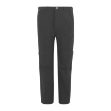 (11-12 Years, Dark Grey) Regatta Childrens/Kids Highton Stretch Zip-Off Walking Trousers