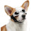 (White) Dog Goggles Pet Sunglasses UV Protection 1