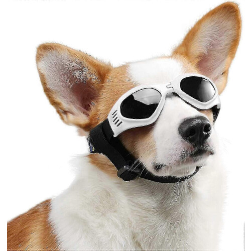(White) Dog Goggles Pet Sunglasses UV Protection