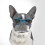 (blue) Hundebrille, Haustier-Sonnenbrille, UV-Schutz 1