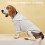 (Light gray, Xl) Sonnenschutzkleidung für Hunde 1