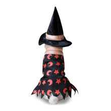 (SDZ07 Wizard Cloak S, S) Hunde-Overall mit Hut, Verwandlungs-Weihnachts-Halloween-Kostüm, Pullover für kleine Hunde, Größe S