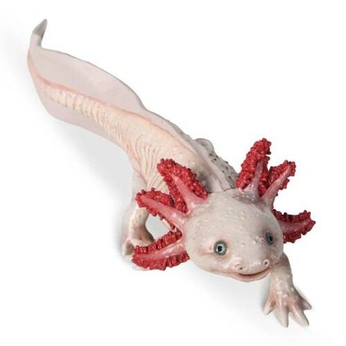 Papo - Figurine Axolotl 1