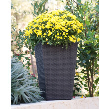 Large Rattan Planter