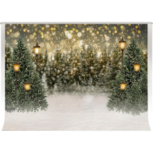 Tło Fotograficzne Studio Zimowe Realistyczne Profesjonalne Duże 300x300 cm