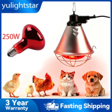 Heat Lamp for Chickens Coop Brooder and Reptile Heat Bulb 250 Watt Infrared Red