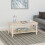 Seconique Seconique Chantilly Coffee Table in Antique Cream 4