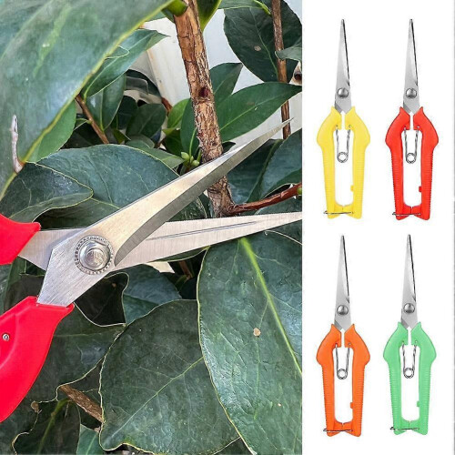 Fruktplukkesaks - Ergonomisk grep i rustfritt stål for høsting - Frukthager 2