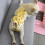 (Yellow, L) Adjustable Pet Diaper - Washable Dog Sanitary Pants for Physiological Needs 3