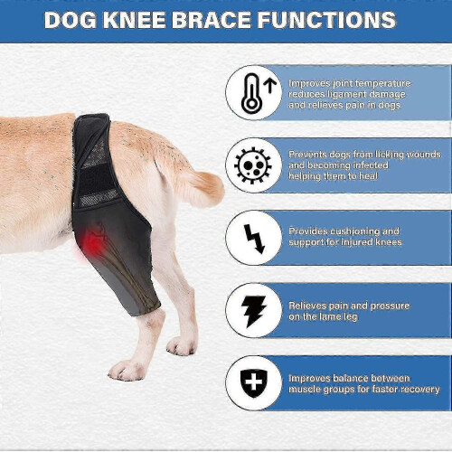(M) Dog Knee Leg Hip Support Brace for CCL Patella Dislocation Osteoarthritis 2