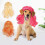 (Rose Red) Small Dog Wig with Bangs Curls Pet Birthday Prop Adjustable Orange 2