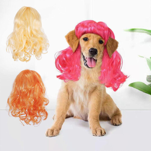 (Rose Red) Small Dog Wig with Bangs Curls Pet Birthday Prop Adjustable Orange 1