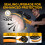 880W Drywall Sander,Self-Dust Collection,Foldable Telescopic Wall Sander 6