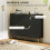 Elegant Four-Drawer Shoe Cabinet - Black 6