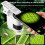 (Green)Educational Childrens Microscope Mobile Phone Clamp Handson Activities Science 3