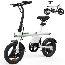 Folding Electric Bike for Adults 250W Motor Commuter EBike 36V 7.8Ah 45KM Range