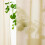 IKEA ROSENROBINIA Sheer Curtains 145x250 5