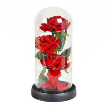 Preserved Rose in Glass Dome – LED Light – for Mother's Day Gift