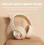 B5 Cat Ear Design USB-C Type-C RGB Wireless Bluetooth HiFi Headset with Adjustable Headband and Built-In Microphone 3