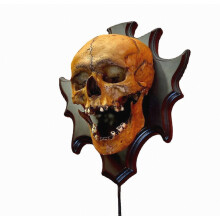 Kallo-seinävalaisin, Halloween-kodin seinäkoriste, kauhutyylinen yövalo sisäkoristeluun
