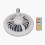 Small Ceiling Fan with Light, Remote Control, E27 Lamp Holder, Adjustable Speed, Enclosed Fan, 85265V 5