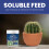 Vitax Vitax Cacti Succulent Feed Soluble Fertiliser 200g 7