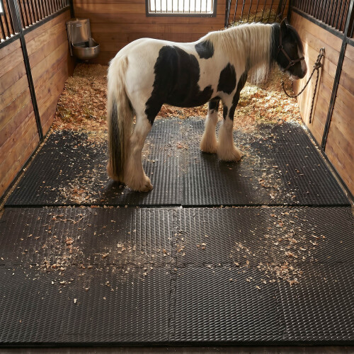 EVA Stable Mats 62x62cm 34mm Interlocking Horse Mat 1