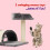 Petlicity Cat Bed with Scratch Post Grey 4