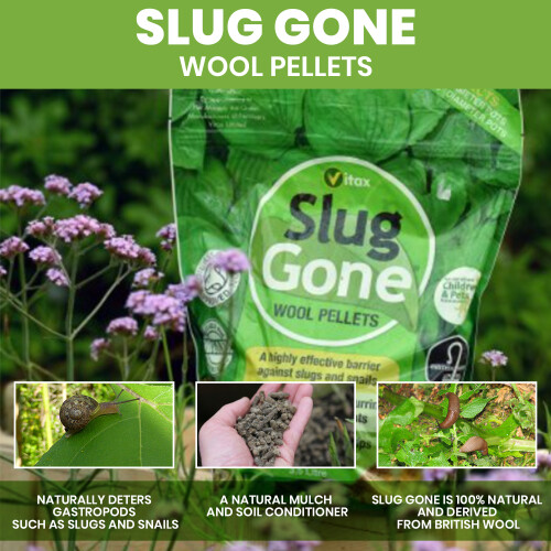 Vitax Vitax Slug Gone Wool Pellets Natural Barrier 2L 2