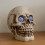 Smart Garden Products 21cm Battery Powered Light up Blinking Skull Halloween Decoration with LEDs 1