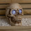 Smart Garden Products 21cm Battery Powered Light up Blinking Skull Halloween Decoration with LEDs 7