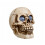 Smart Garden Products 21cm Battery Powered Light up Blinking Skull Halloween Decoration with LEDs 9