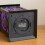 Smart Garden Products 32cm Battery Powered Light up Spider Halloween Lantern with LEDs 8