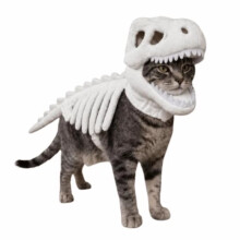 Luminous Dinosaur Skeleton Pet Costume 3D 35CM Dinosaur Bone Pet Headgear Breathable Cat Cosplay Headwear