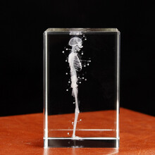 3D Laser Engraved Human Skeletal Crystal Figurines, Medical Science Gifts, Organ Anatomical Model Paperweight B