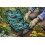 True Face Garden Tool Set 10PCS Gardening Kit Hand Tools 10