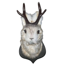 Décoration Murale en Forme de Tête de Lapin avec des Cornes de Cadeau Décor Mural Simulation Art D'Ornements de Spécimen de Lapin