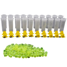 Beekeeping Cages King Queen Rearing System Plastic Bee Tool Catcher Box Cell Cups Apicultura Tool Bee Supplies 1Set